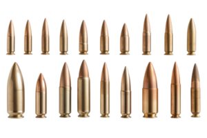 Collection of various types of metallic bullets arranged in rows for identification and comparison purposes png