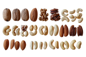 Diverse nuts arranged in neat rows showcasing a variety of textures and colors in a natural light setting png