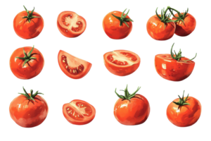 Bright red tomatoes displayed in various cuts and arrangements on a clean background png