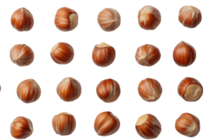 Sorted hazelnuts arranged in a grid on a white background for culinary use or decoration png