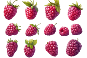 Detailed collection of ripe raspberries showcasing different shapes and sizes on a white background png
