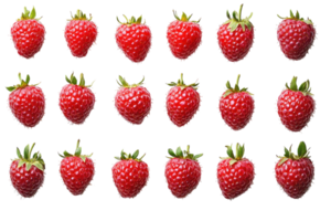 Fresh red strawberries arranged in a neat pattern on a white background for food presentation or culinary use png