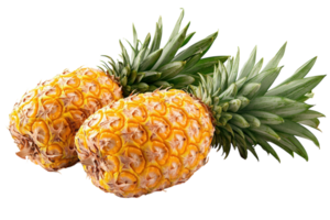 Freshly harvested pineapples with vibrant green leaves placed on a clean white background png