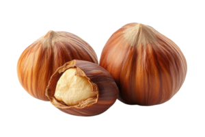 Fresh hazelnuts with a cracked shell showcasing the nut inside arranged on a white background png