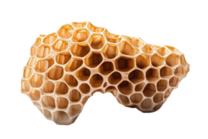 Unique honeycomb structure showcasing intricate hexagonal patterns and natural beauty png