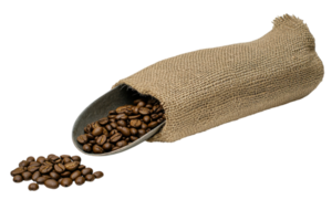 Coffee beans spilling from a burlap sack with a metal scoop on a white background showcasing freshness and richness of flavor png