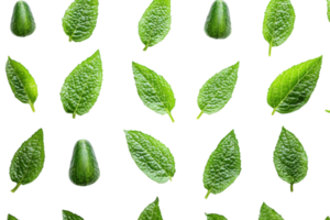 Green leaves and cucumber arranged in a repeating pattern showcasing natural textures and colors png