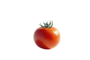 Ripe red tomato placed against a white background with droplets of water glistening on its surface png