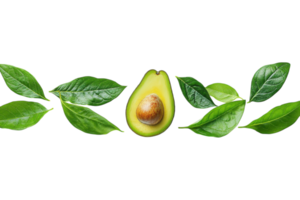Fresh avocado with green leaves arranged in a neat line on a white background png