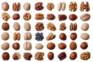 Assortment of various nuts arranged on a light background showcasing their textures and colors in detail png