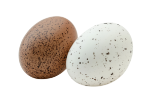 Unique speckled eggs resting on a flat surface in a neutral setting during daylight png