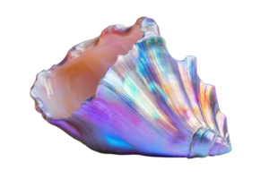 Iridescent seashell displaying vibrant colors and textures found on a sandy beach during a sunny day png