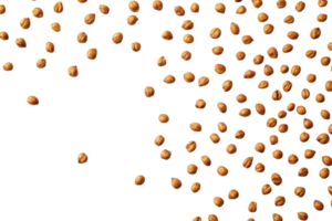 Seeds scattered across a white surface creating a minimalist and organic visual effect during daylight hours png