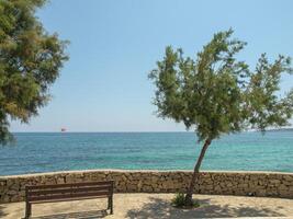 A tree with a bench at the beach photo