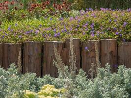 A wooden fence photo