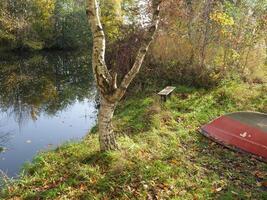 A tree with leaves at a small river photo