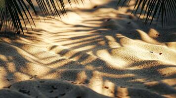 Sunset casting a warm glow on golden sand dunes, with palm leaves creating elegant tropical shadows summer video