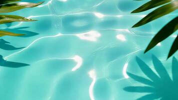Tranquil summer scene with palm leaf shadow on rippling turquoise water pool surface copy space for your text summer background video