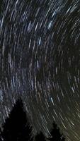 Time lapse of Star trails in the night sky, stars move around a polar star above silhouettes of trees, vertical footage video