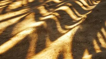 Sunset casting a warm glow on golden sand dunes, with palm leaves creating elegant tropical shadows summer video