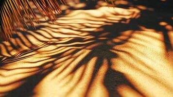 Sunset casting a warm glow on golden sand dunes, with palm leaves creating elegant tropical shadows summer video