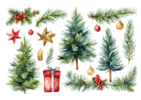 Watercolor Christmas Trees Branches Ornaments Gift png