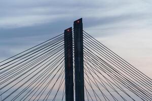 nijmegen and the waal river and a bridge photo