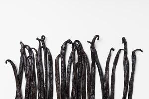 Vanilla beans on white background photo