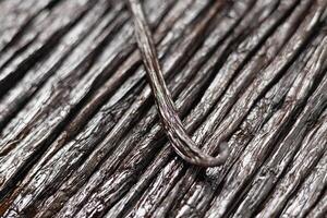 Vanilla beans texture. photo