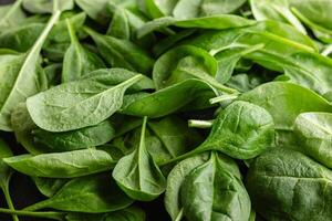 Fresh green spinach leaves with drops of water photo