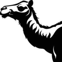 captivating Black silhouette of dromedary head vector