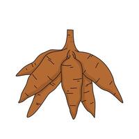 cassava root illustration element vector