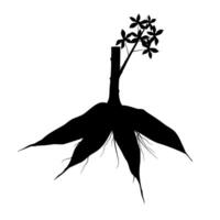 cassava root silhouette vector