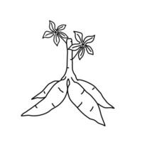hand drawn sketch of cassava roots vector