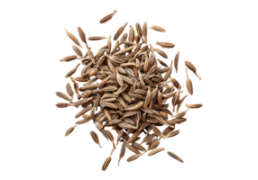 Cumin seeds on a transparent background png
