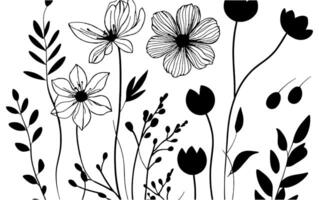 Black and white flowers and leaves on a white background vector
