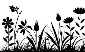 Black and white flowers and grass vector