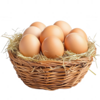 A charming basket of freshly gathered farm eggs nestled among hay and scattered feathers on a transparent background png