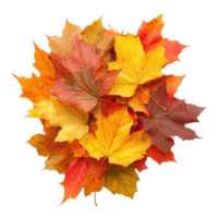 A colorful heap of vibrant autumn leaves showcasing rich seasonal hues on a transparent background. png