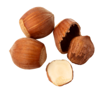 Some shelled hazelnuts with shell png