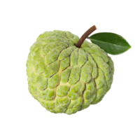custard apple, cutout, full depth of field png