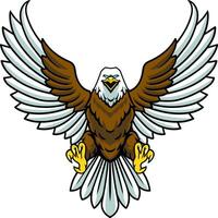 Bald Eagle front view Cartoon Character Illustration vector
