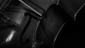 A closeup of a violin and bow, ready to play. photo
