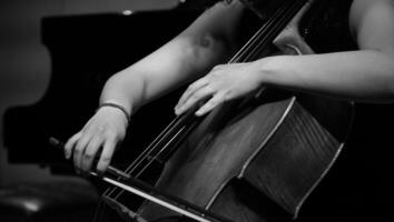 A closeup of a violinist's hands delicately bowing a violin. photo
