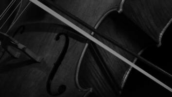 An intimate portrait of a violin and bow. photo