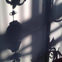 Shadows on a white wall. photo