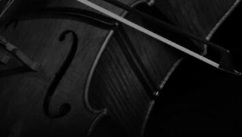 A closeup of a violin and bow, ready to play. photo