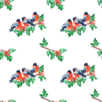Jointless tiles with Holly branch and Bullfinches on it, pattern on blue-green background or isolated of it png