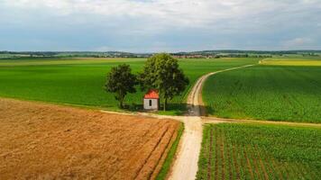Small chapel stands at intersection of dirt roads, surrounded by fields of crops beneath shady tree. In summer, drone view captures serene beauty of rural landscape, highlighting its tranquility. video