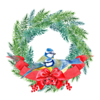 Hand-painted aquarelle picture with titmouse birds. Round wreath with Christmas red decoration for seasonal design png